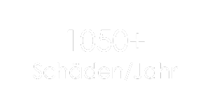 Schäden/Jahr